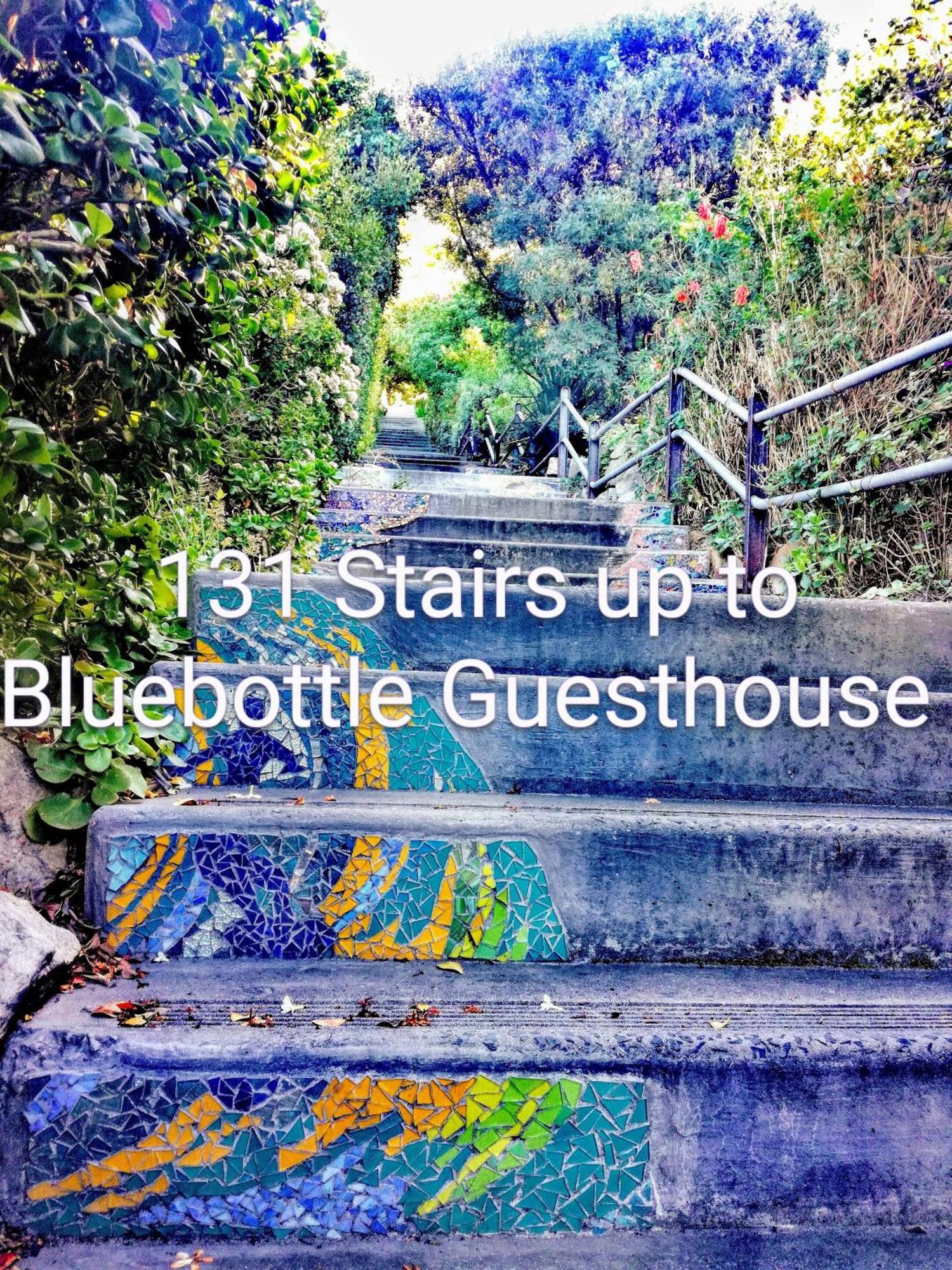 Bluebottle Guesthouse Muizenberg Ngoại thất bức ảnh